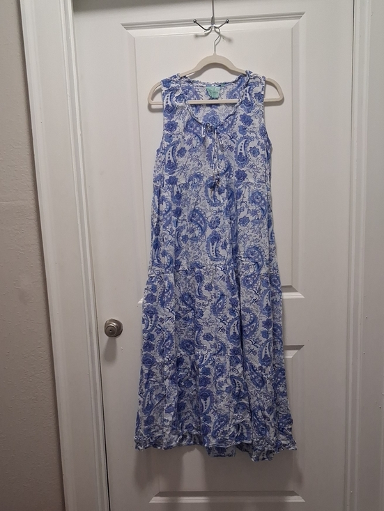 True Destinations Dresses & Skirts - Blue Paisley Sleeveless Maxi Dress